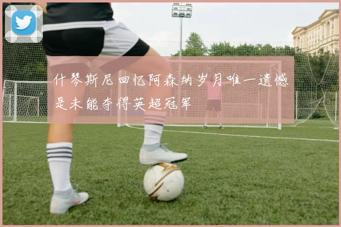 什琴斯尼回忆阿森纳岁月唯一遗憾是未能夺得英超冠军