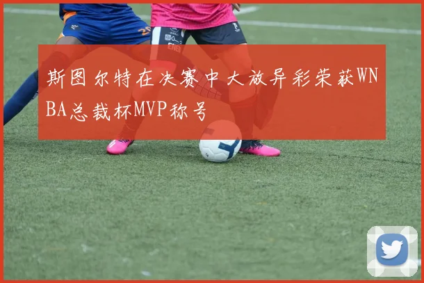 斯图尔特在决赛中大放异彩荣获WNBA总裁杯MVP称号