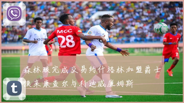 森林狼完成交易约什格林加盟爵士换来康查尔与科迪威廉姆斯